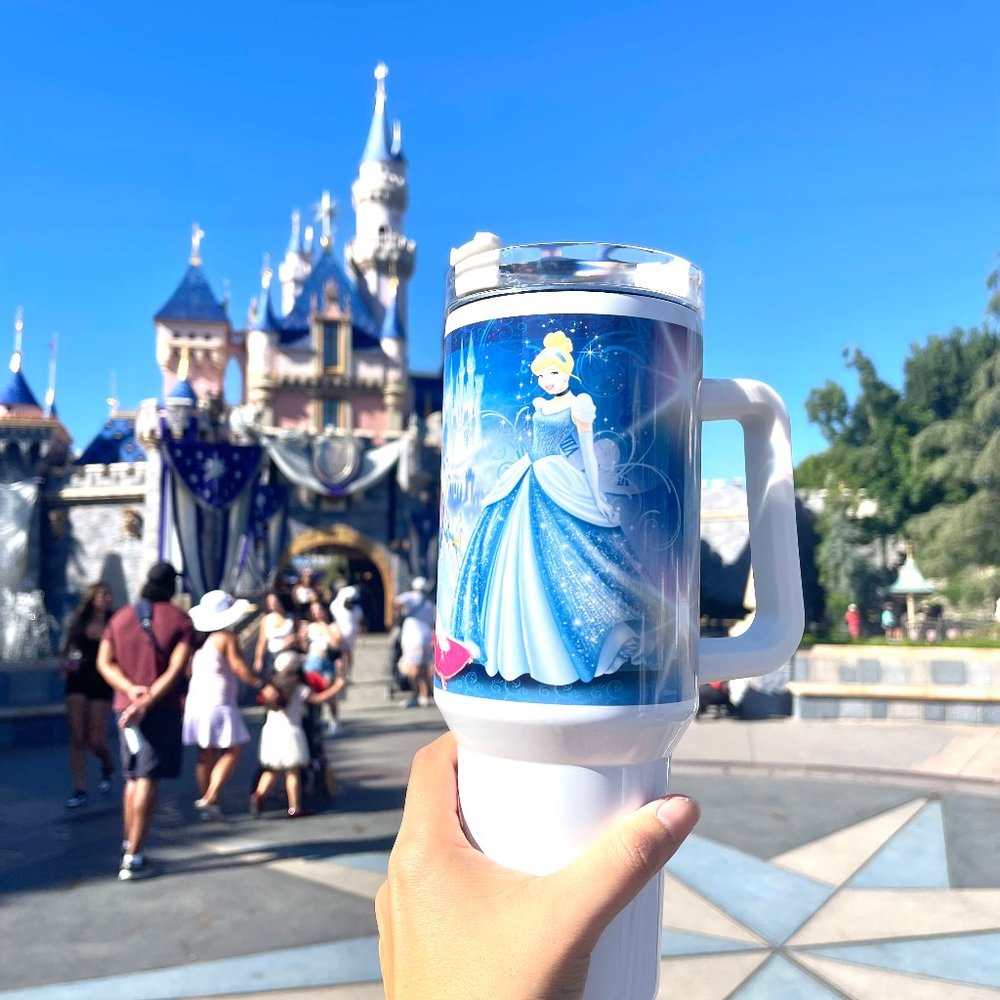 Disney Princess Cinderella Godmother Pumpkin Carving Castle 40 oz tumbler double